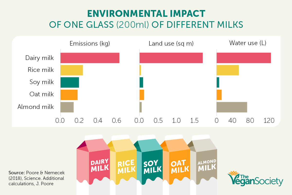 A guide to the best plant milks The Vegan Society